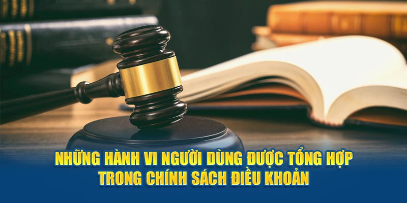 Những hành vi người dùng được tổng hợp trong chính sách điều khoản