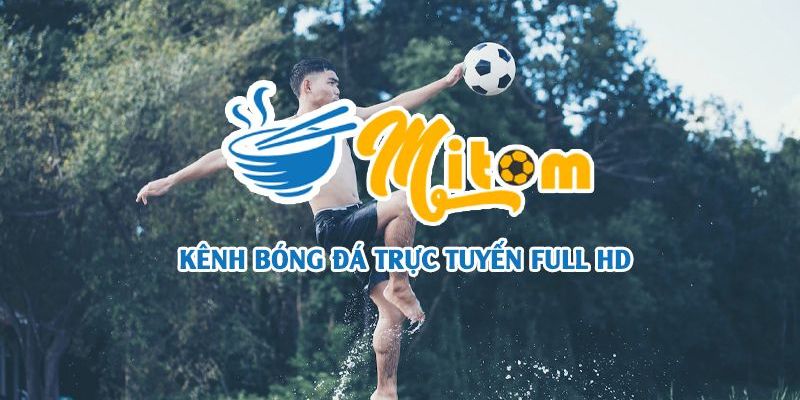 Mitom TV - Kênh Trực Tiếp Bóng Đá Chất Lượng HD Siêu Nét