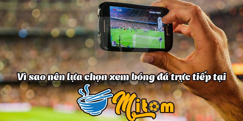 Top những điều làm nên tên tuổi của Mitom